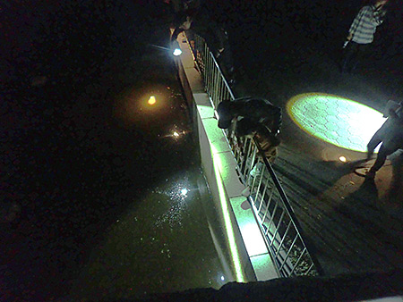 夜遊び探検隊　モリアオガエル観察会（2）