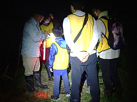 夜遊び探検隊　田儀のホタル観察会（4）