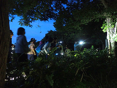 夜遊び探検隊　セミの羽化を観察しよう！（1）