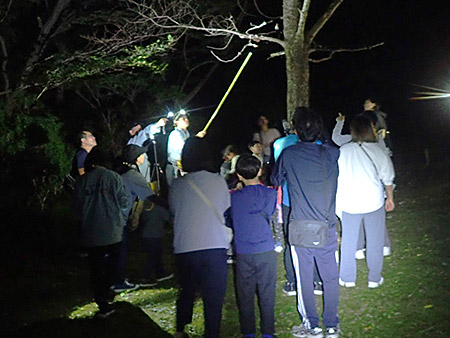 夜遊び探検隊　セミの羽化を観察しよう！（2）