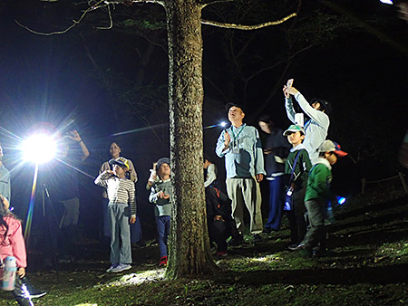 夜遊び探検隊　セミの羽化を観察しよう！（3）