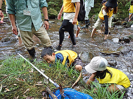 ～自然の川で～ヤマメのつかみ取りを楽しもう！（2）